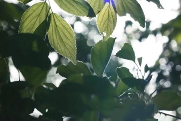 尋找百名困境兒童，聆聽童音，護(hù)苗成長