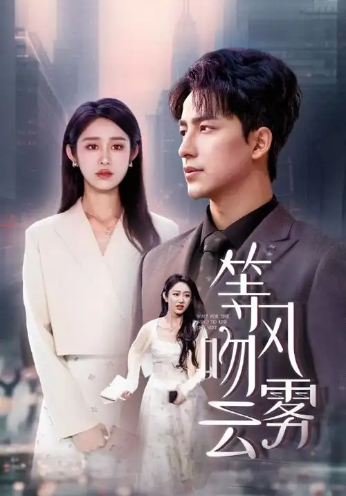 电视剧海报：破晓时分 黎明之前